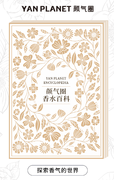 背景图案<em></em>
<em></em>
描述已自动生成